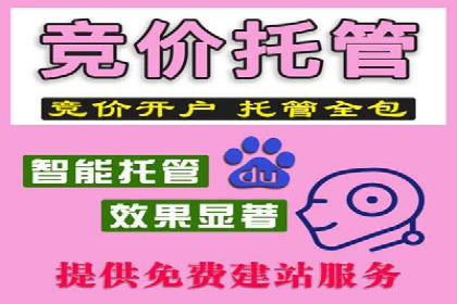 SEM营销案例：电商平台的流量密码